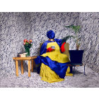 Intombi ye Qwarha (lady Zebra)